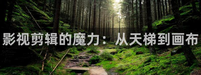 樱花黄视频